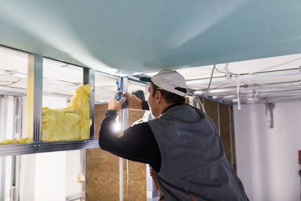 Best Insulation Materials and Products in Oakwood, IL