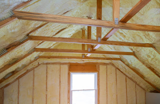 Best Commercial Insulation in Oakwood, IL