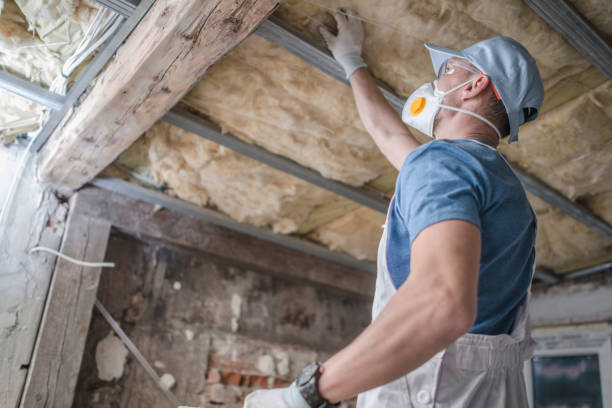  Oakwood, IL Insulation Contractor Pros