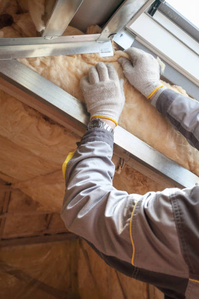 Best Insulation Materials and Products in Oakwood, IL