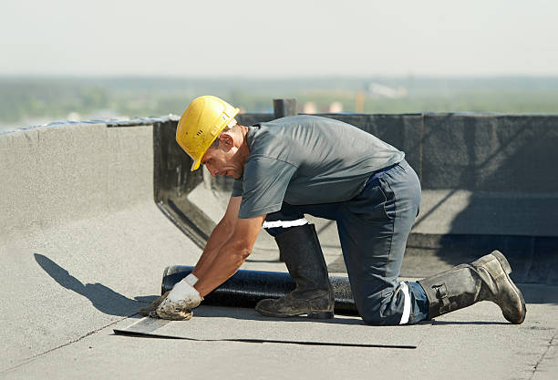 Best Energy Efficiency Solutions in Oakwood, IL