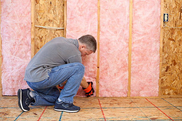 Best Specialty Insulation in Oakwood, IL